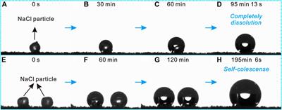 Eco-Friendly Anticorrosion Superhydrophobic Al2O3@PDMS Coating With Salt Deliquescence Self-Coalescence Behaviors Under High Atmospheric Humidity